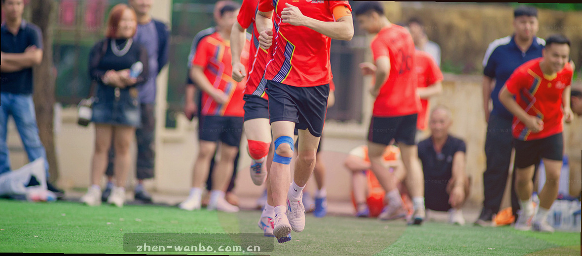 光标划过关于页 故事在滚动中展开